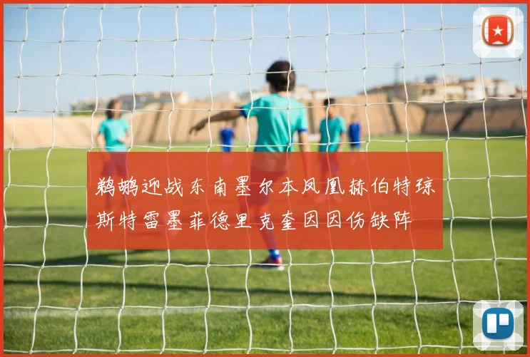 鹈鹕迎战东南墨尔本凤凰赫伯特琼斯特雷墨菲德里克奎因因伤缺阵