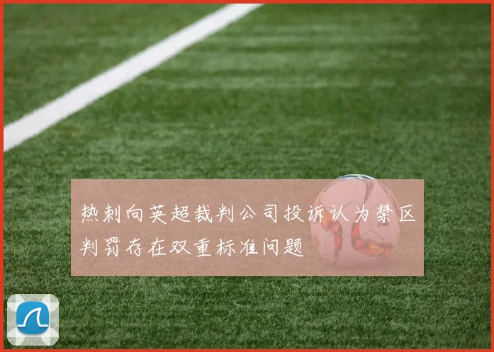 热刺向英超裁判公司投诉认为禁区判罚存在双重标准问题