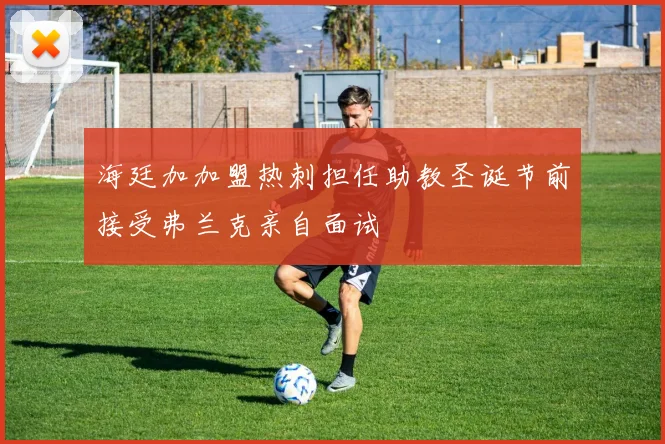 海廷加加盟热刺担任助教圣诞节前接受弗兰克亲自面试