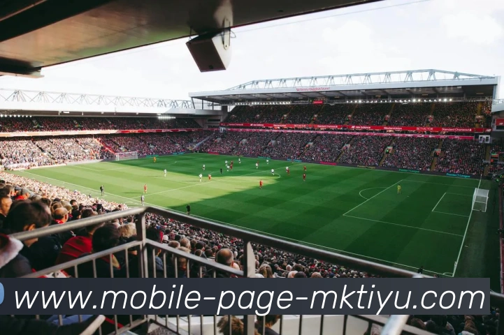 多媒体互动体验