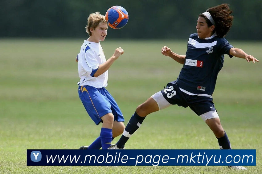 MK体育APP 高清赛事图